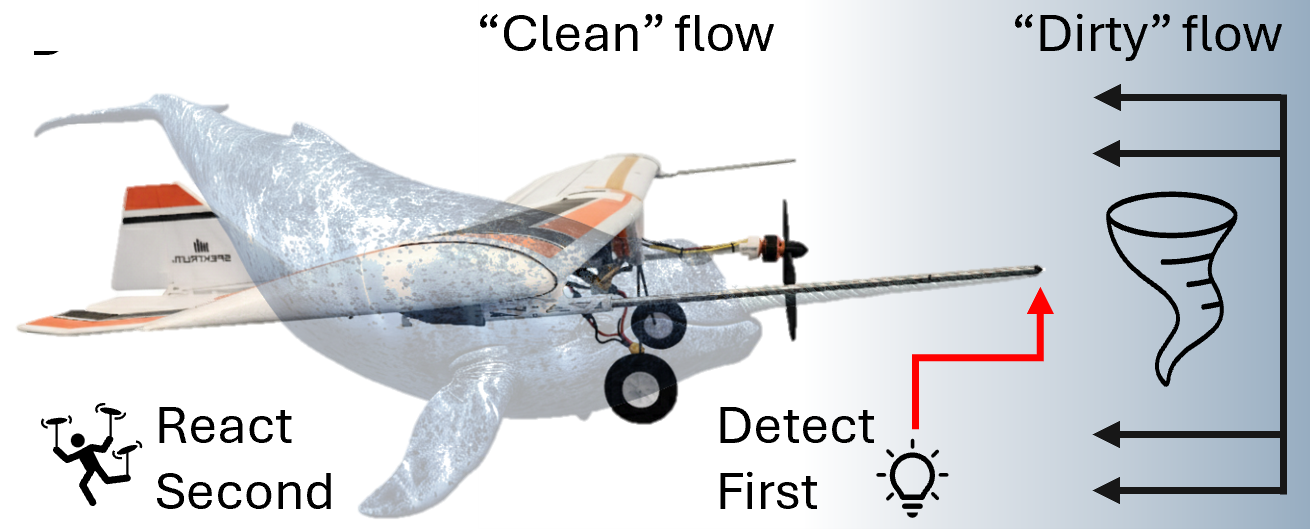 Narwhal-inspired UAV: probes sense clean upstream flow before it reaches the airframe